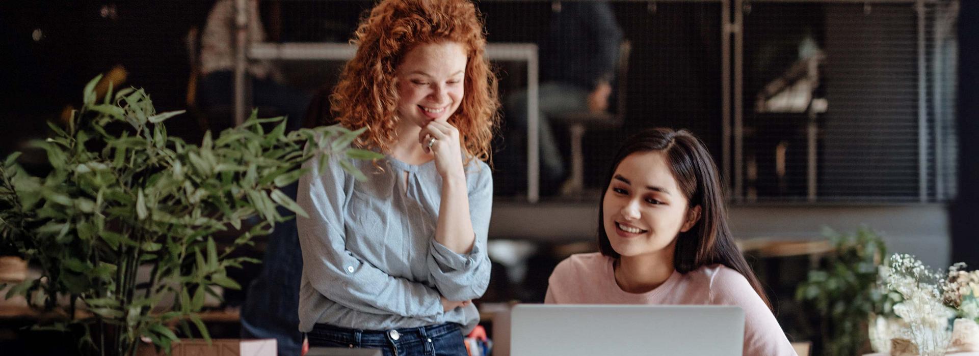 de duinpan de zilk vergaderen